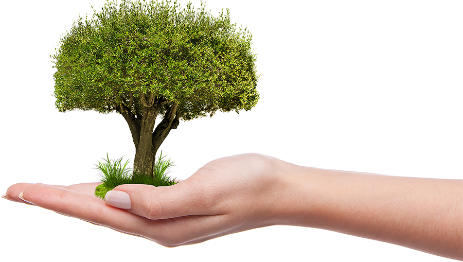 hands-tree